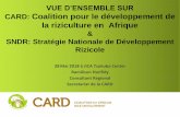 VUE D’ENSEMBLE SUR Coalition pour le développement de la ...CARD (Coalition pour le Développement de la Riziculture en Afrique) •Mise en place en 2008 lors de la TICAD IV par
