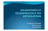 Dr Michael WILLERY Pôle Gériatrie CH ROUBAIXentreide.free.fr/cours/2a/ue27s4/RHUMATISMES ET...superficielle de la capacitédes chondrocytesàsynthétiser des ... Conséquences sur