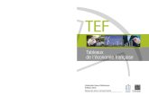 RÉF. TEF19 Tableaux114 TEF, édition 2019 – Insee Références Retrouvez le TEF sur dans la collection « Insee Références » Après une accélération en janvier 2017 à + 1,3