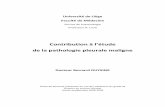 Contribution à l’étude de la pathologie pleurale malignebictel.ulg.ac.be/ETD-db/collection/available/... · Université de Liège Faculté de Médecine Service de Pneumologie
