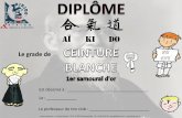 AÏ KI DOligue.alsaceaikido.free.fr/templates/diplome-aikido-sans-logo.pdf · Maison des Sports - 4 rue Jean Mentelin - BP 28 - 67035 Strasbourg Cedex - Tél. : 03 88 26 94 80 - alsace@aikido.com.fr