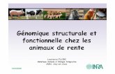 Génomique structurale et fonctionnelle chez les animaux de ...naruto.jutsu.free.fr/BBSG_GF/Flori.pdf · 10/10/2008 Génomique structurale et fonctionnelle chez les animaux de rente