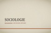 SOCIOLOGIE - Académie de Lyonses.enseigne.ac-lyon.fr/spip/IMG/pdf/la_socialisation.pdf · SOCIOLOGIE • Comment la socialisation contribue-t-elle à expliquer les différences de