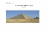 TRIGONOMETRIE - HEIG-VDmath.heig-vd.ch/fr-ch/enseignement/Cours/Trigonometrie2013.pdf · Quadrant cosinus sinus tangente cotangente Ox+ 1 0 0 1 I + + + + Oy+ 0 1 1 0 II + Ox 1 0 0
