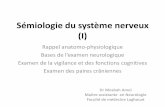 Sémiologie du système nerveux (I)univ.ency-education.com/uploads/1/3/1/0/13102001/semio3...Sémiologie du système nerveux (I) Rappel anatomo-physiologique ases de lexamen neuologiue
