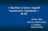 « Bacilles à Gram négatif hautement résistants » BLSE · Enquête Nord – PdC 2008 (E.coli BLSE) Analyse de 306 dossiers patients Descriptif 306 patients Nombre % Documentation