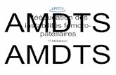 AMDTS instabilités fémoro- Rééducation des patellaires P ...amdts.free.fr/pps/2016/Pathologie_femoropatellaire/2-Instabilite_fe... · conditions de stress progressif • Il s’agit