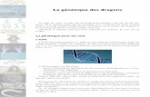 La génétique des dragonshopitalpsy.fr/IMG/pdf/genetique-2.pdf · chondriome. Particularité intéressante, les mitochondries ont leur propre génome, différent de celui du reste