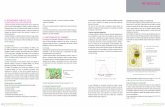Méthodologie - Agriculturedraaf.nouvelle-aquitaine.agriculture.gouv.fr/IMG/pdf/... · 2018-07-03 · Note de lecture : Ce schéma ... Valeur de la variable 114 regards et perspectives