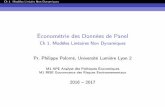 Économétrie des Données de Panel - UDLrisques-environnement.universite-lyon.fr/IMG/pdf/pan_ch1...Ch 1. Modèles Linéaire Non Dynamiques Modèles à Données de Panel Dichotomiques