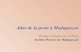Atlas de la peste à Madagascar - ordiecole.com · Avant-propos L’histoire de la peste à Madagascar est intimement liée à celle de l’Institut Pasteur de ce pays (IPM). Au cours