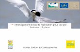 Aménagement d'îlots de nidification pour les laro- …life-envoll.eu/IMG/pdf/journee_technique_5_amenagements...Journée technique 5 : aménagement d'îlots Thau Agglo, 3 novembre