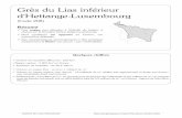 d'Hettange-Luxembourg Grès du Lias inférieursigesrm.brgm.fr/IMG/pdf/26920_rm_208.pdf · cours entraînant une lente baisse de la minéralisation. ... Transgressif sur le Primaire,
