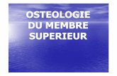 OSTEOLOGIE DU MEMBRE SUPERIEUR · 2017-07-05 · 2525//0101//2009 Dr. BOUKOFFAFA--Dr. ABDALLAH: Ostéologie du membre supérieureur77 •Le squelette du membre supérieur est rreliéelié