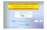 Utilisation de Capsis pour Simuler et comparer avantages ...capsis.cirad.fr/capsis/_media/documentation/reports/p9_dreyfus_simul_inv.pdf · Ph. Dreyfus - Inventaires simulés dans
