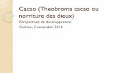Cacao (Theobroma cacao ou norriture des dieux) · 2016-12-06 · Cacao en fèves et brisures de fèves, bruts ou torréfiés 23 538 1% Chocolat et autres préparations alimentaires