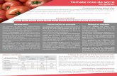 Tomate rose de serre - cdn.ca.yapla.com · PDF file Tomate rose de serre du Québec Caractéristiques générales Les tomates roses de serre sont seulement cultivées commercialement
