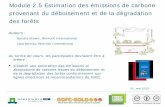 Module 2.5 Estimation des émissions de carbone …...Module 2.5 Estimation des émissions de carbone provenant du déboisement et de la dégradation des forêts Matériels de formation