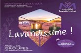 musée lavande · PDF file fiche de réservation réservation Domaine LavanDaïs Producteur Distillateur musée de la lavande d490 - route des Gorges - 07700 saint-remèze + 33 (0)