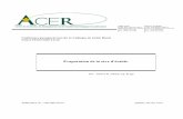 Projet de recherche: Rapport finalgestion.centreacer.qc.ca/UserFiles/Publications/69_Fr.pdf · succinique, fumarique, dihydroxybutyrique (ou glycolique) ainsi que des traces d'autres
