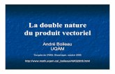 La double nature du produit vectorielprofmath.uqam.ca/~boileau/Fichiers/AMQ2006/Presentation.pdf · 2006-10-19 · Produit vectoriel des vecteurs u et v Norme: Norme(u)•Norme(v)•sin(angle(u,v))