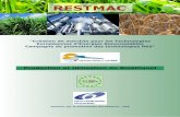 Production et Utilisation du Bioéthanol · RESTMAC - Production et Utilisation du Bioethanol 3 Le bioéthanol est reconnu comme une alternative vala-ble car les cultures sources