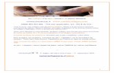 Catalogue N°5 La carterie papeterie - Overblogdata.over-blog-kiwi.com/0/99/47/...catalogue-n-5-la-carterie-papeterie.pdf · Carterie /Papeterie d’ eMmA * 2 Série Nocturnes sylvestres