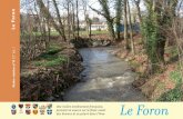 Le Foron - Arveriviere-arve.org/ged/fiche-riviere-foron.pdf · Robert Cramer Conseiller d’Etat en charge du Département du territoire l’eau, prévenir les risques d’inonda-tion,