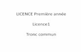 LICENCE Première année Licence1 Tronc communChapitre 2: Thermochimie (applications du premier principe de la thermodynamique aux réactions chimiques. Introduction •La thermodynamique