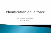 Le Jeune Aurélien CESA 2012cesabpete2012.e.c.f.unblog.fr/files/2012/06/...Première phase de transition Amélioration de la force, volume et intensité modéré (5 séries de 5 à