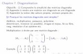 Chapitre 7. Diagonalisationtanlei/istia/CM7.pdf · Chapitre 7. Diagonalisation Objectifs : 1) Comprendre la simplicité des matrices diagonales 2) Appendre à rendre une matrice non