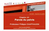 Chapitre 18 : Parois du pelvisunf3s.cerimes.fr/media/paces/Grenoble_1112/chaffanjon...Chapitre 18 : Parois du pelvis Professeur Philippe CHAFFANJON Année universitaire 2011/2012 Université