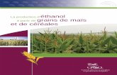 La production d’éthanol grains de maïs et de céréales · La production d’éthanol à partir de grains de maïs et de céréales 3 2. Liquéfaction : l’eau et une première