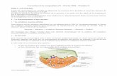 Correction de la composition n°2 – Février 2010 – Première ...morandsvt.fr/Premieres/intercor/compo0210c.pdfIl n'y a hydrolyse de l'amidon que lorsque l'embryon est présent