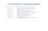 Le feuilles reproductibles€¦  · Web viewÉtape 1 : de Falcon Lake à Winnipeg (retour à la Table des matières FR). Étape 1—a.1 Liste de contrôle sur le processus de rédaction.