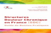 Structures Douleur Chronique en France (SDC) · Structures Douleur Chronique en France (SDC) Guide de Bonnes Pratiques Groupe de pilotage Frédéric Aubrun, Séverine Conradi, Aline