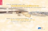 salmonellose...Salmonella Enteritidis, diagnostiqués depuis le 1er juin 2001. Le 12 juillet, les réponses des laboratoires permettaient de recenser 70 cas de salmonellose à Salmonella