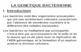 LA GENETIQUE BACTERIENNE I. Introductioncours- LA GENETIQUE BACTERIENNE I. Introduction Les bact£©ries