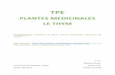 TPEtpe-plantes-medicinales.e-monsite.com/medias/files/... · 2015-02-02 · plante contenant des espèces chimiques permettant de soigner tous types d’infections bactériennes ou