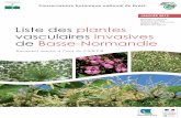 Bousquet Thomas Liste des plantes vasculaires …...5 Elaboration de la liste : contexte et méthodologie Une première liste des plantes invasives en Basse-Normandie a été réalisée
