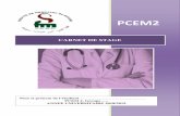 CARNET DE STAGE PCEM2 - chirurgicale - Mouvements respiratoires : (rythme respiratoire normal ou accéléré) -Ampliation thoracique (normale ou limitée ou asymétrique) Percevoir