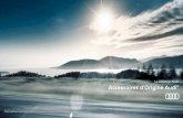 La sélection hiver Accessoires d’Origine Audi · PDF file 2020-01-15 · La sélection hiver Accessoires d’Origine Audi® Prix client TTC conseillés au 01/11/16. Pour tout renseignement,