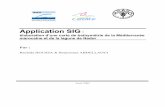 Application SIG: élaboration d’une carte de ...webco.faocopemed.org/old_copemed/vldocs/0000975/rapport.pdf · L’utilité de se repérer exactement sur la carte nécessitait le