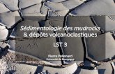 Sédimentologie des mudrocks dépôts volcanoclastiques LST 3 · Bentonit e Analyses chimiques ... Magma acide : verres vésiculés, anguleux, opaques LPA Verres volcaniques Ponces