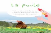 Viens découvrir la vie de l’animal domestique le plus · 2017-04-27 · La poule est omnivore, elle peut manger des aliments d’origine animale ou végétale. Elle raffole des