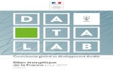 Commissariat général au développement durable... · 4 – Bilan énergétique de la France pour 2017 avant-propos C ette édition du bilan énergétique de la France, qui existe