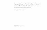 Intertidal and subtidal habitats of Mimiwhangata Marine Park and … · 2018-05-25 · 6 Kerr & GraceŠIntertidal and subtidal habitats of Mimiwhangata 1. Introduction The Mimiwhangata