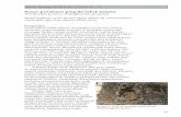 Proses penulenan propolis lebah kelulut (Purification process of …ebuletin.mardi.gov.my/buletin/15/Zulkhairi.pdf · 2019-07-18 · 65 Buletin Teknologi MARDI, Bil. 15(2019): 65