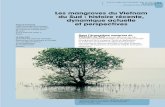 Les mangroves du Vietnam du Sud : histoire récente ...bft.cirad.fr/cd/BFT_273_31-42.pdf · farming. The destruction of mangrove swamps has been especially notice-able in the Ca Mau
