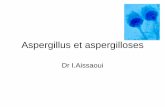 Aspergillus et aspergilloseuniv.ency-education.com/uploads/1/3/1/0/13102001/parasito25-aspergillose_aissaoui2017.pdf4.1.Pouvoir pathogène Parmi les principaux élements qui participent